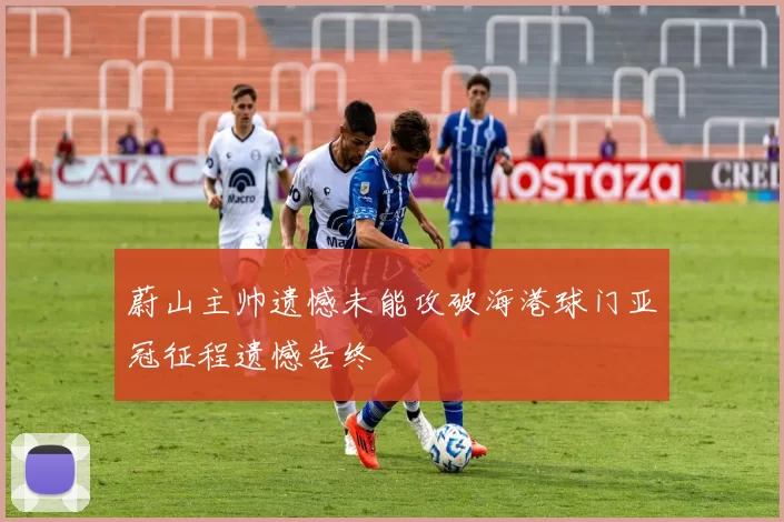 蔚山主帅遗憾未能攻破海港球门亚冠征程遗憾告终