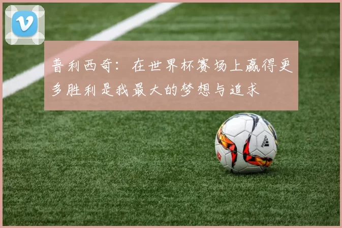 普利西奇：在世界杯赛场上赢得更多胜利是我最大的梦想与追求